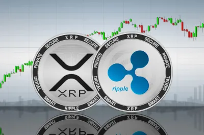 XRP Network Sees 280% Increase in Million-Dollar Transactions Ahead of White House Meeting